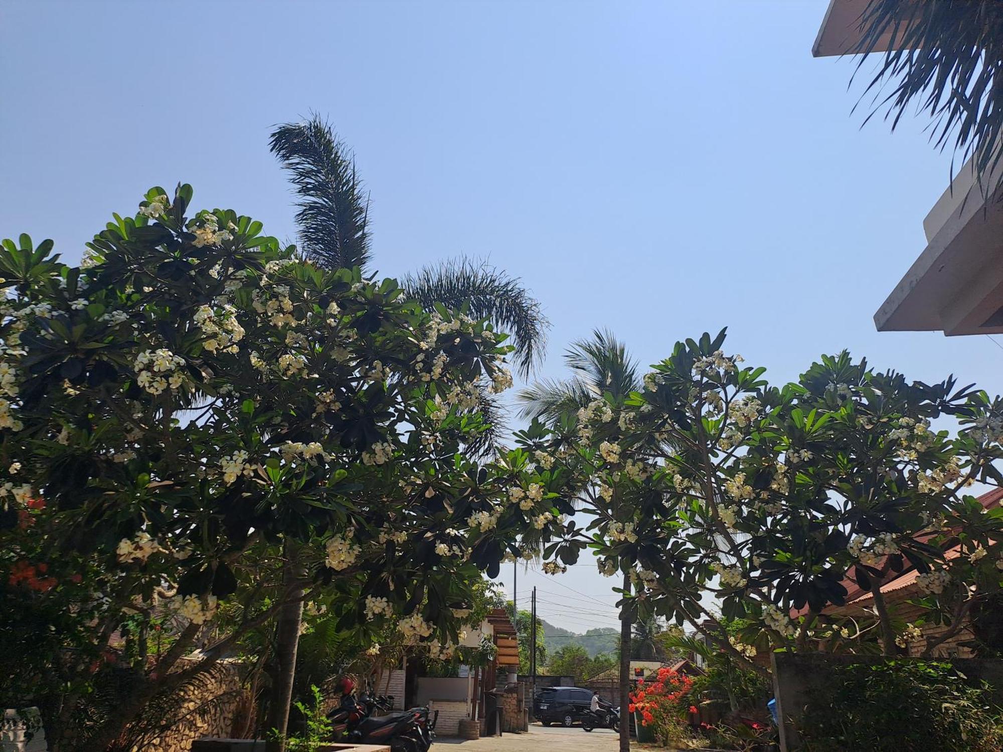 Kutabay Homestay Kuta  Exterior photo